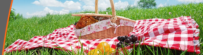 Coaching in Erlangen: Ern&auml;hrungsberatung